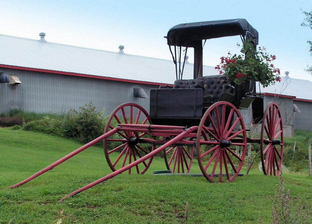 amish wagon, with a white building in the background