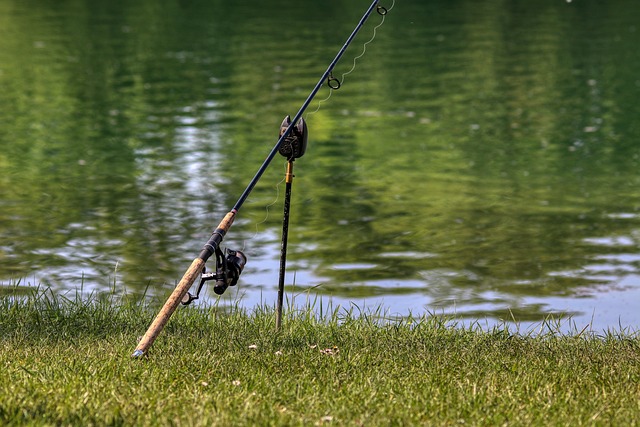 Picture of a fishing pole by a lakes edge